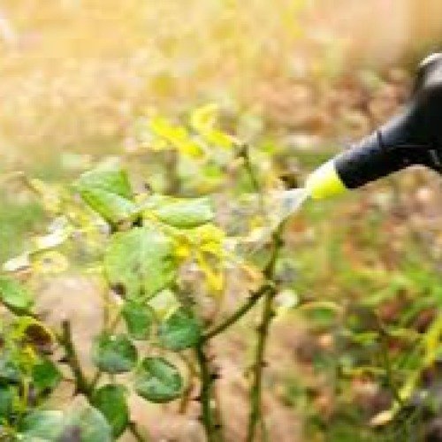 Fungicides