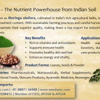 Moringa Powder & Leaves 