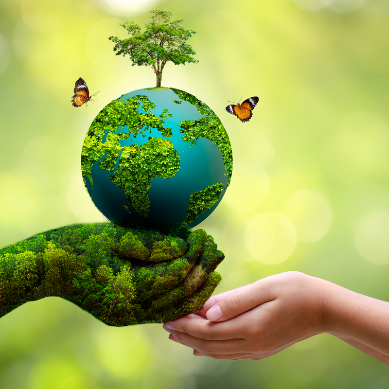 Environment and Pollution