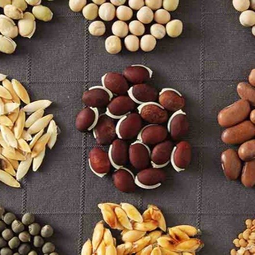 Seeds