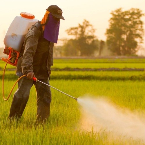 Pesticides and herbicides