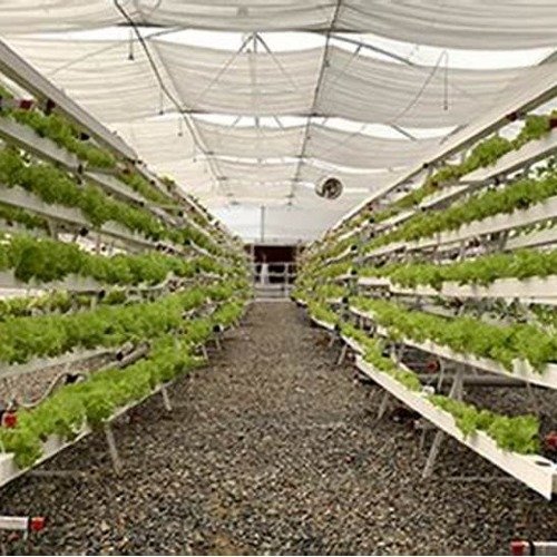Greenhouse supplies