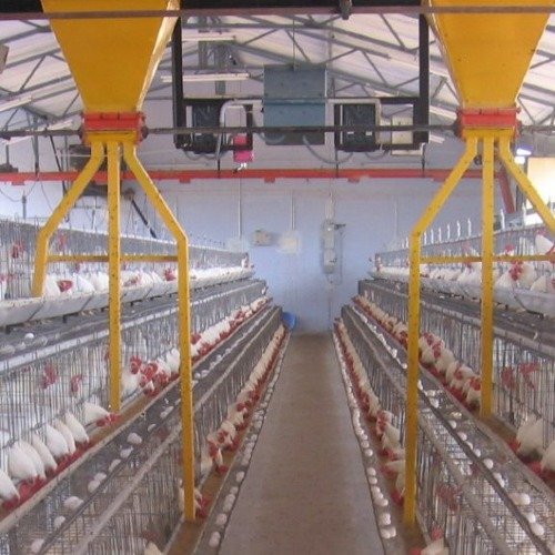 Poultry farm equipment