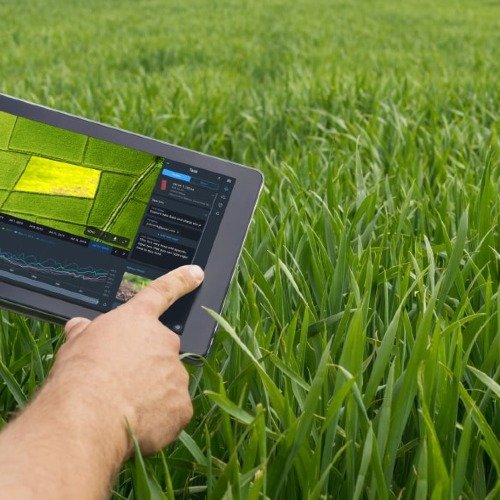 Agricultural software