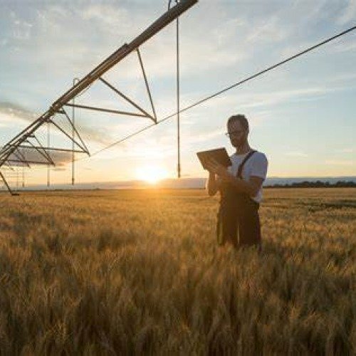 Agri-consulting services