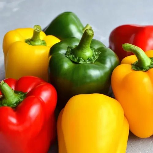 Capsicum