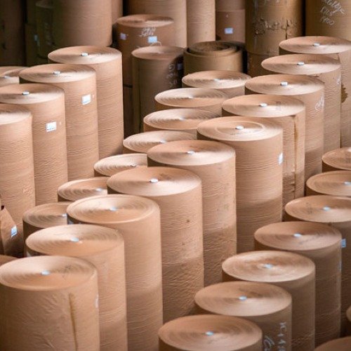 Pulp and paper products