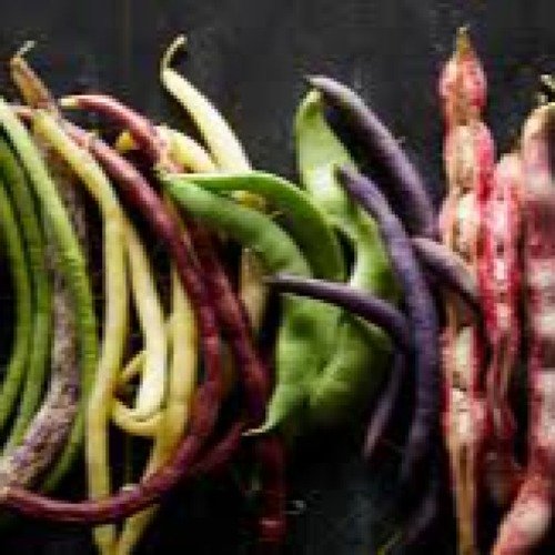 Pods and Beans