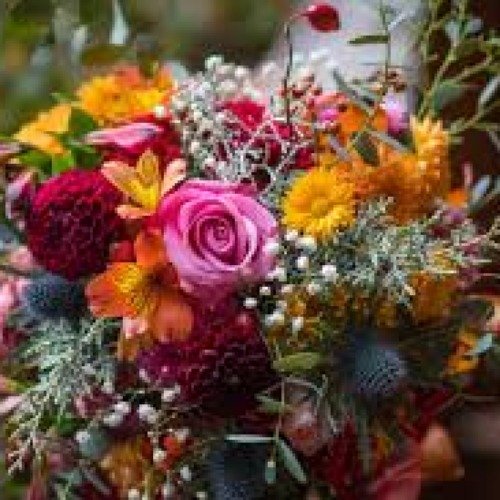 Fresh Cut Flower