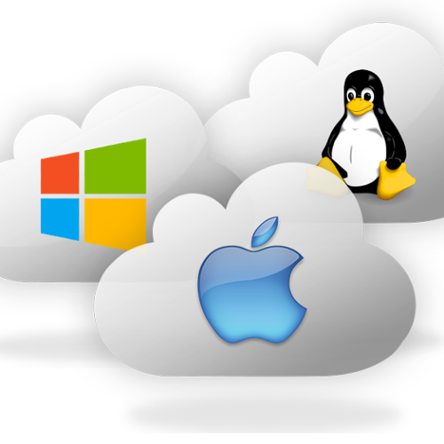Operating Systems (Windows, Linux, macOS)