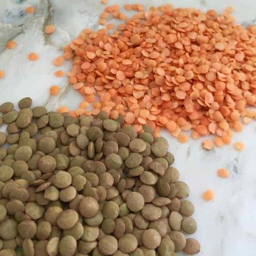 Pulses & Lentils
