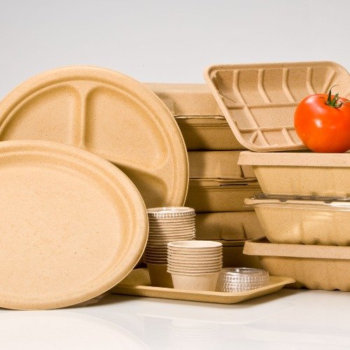Biodegradable Packaging