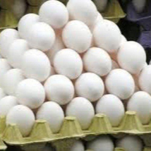Poultry Eggs