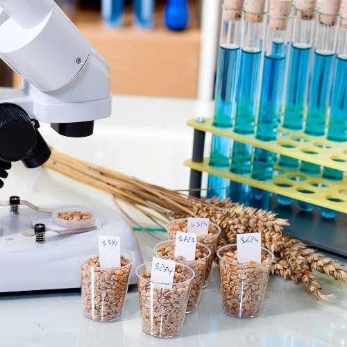 Lab Testing Kits