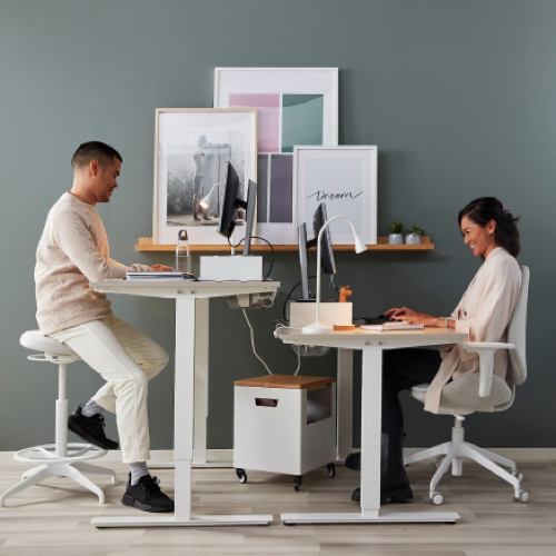 Sit-Stand Desks