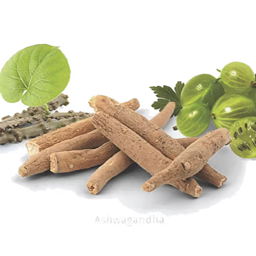 Giloy, Ashwagandha, and Amla Products