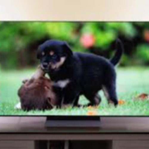 OLED TVs